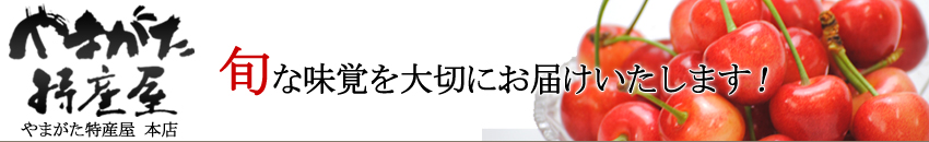 �w��܂������Y���x�{���؂ɂ��͂����܂��I